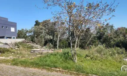 Terreno à venda no São Luiz, Caxias do Sul 