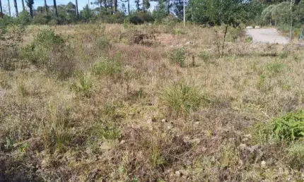 Terreno à venda na Ana Rech, Caxias do Sul 