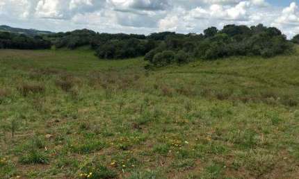 Terreno à venda em Juá, São Francisco de Paula 