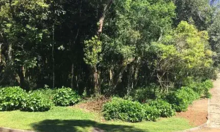Terreno à venda na Ana Rech, Caxias do Sul 