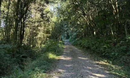 Chácara / sítio à venda no Centro, Caxias do Sul 