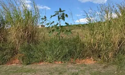 Terreno à venda com 415,47m² no alphaville dom pedro 0 em campinas