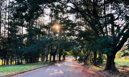 Terreno à venda em Campinas, Swiss Park, com 798 m²