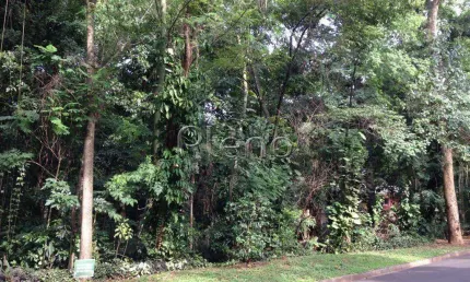 Terreno à venda em Campinas, Jardim Santana, com 2638.8 m², Chácara São Quirino