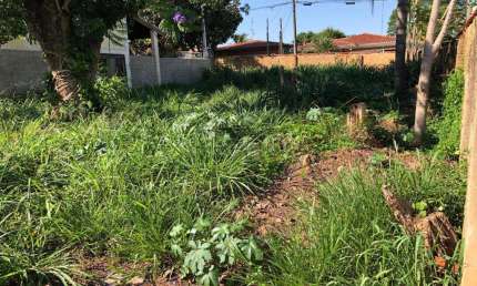 Terreno à venda em Campinas, Cidade Universitária, com 432.6 m²