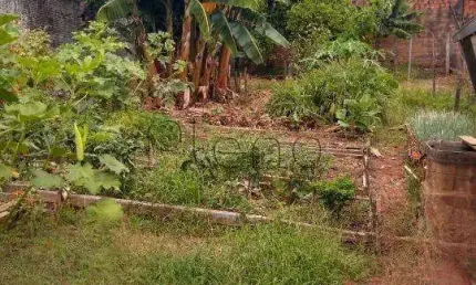 Terreno à venda com 310 m² no Jardim dos Oliveiras, Campinas.