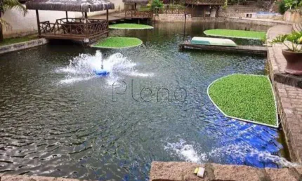Rancho à venda com 5000m² na Chácara do Trevo, em Indaiatuba