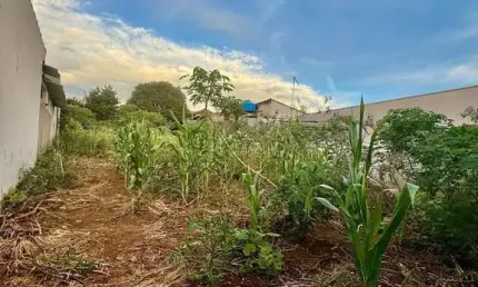 Terreno à venda em Campinas, Cidade Jardim, com 250 m²