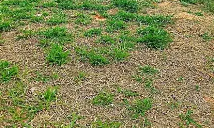 Terreno à venda em Indaiatuba, Jardim Casablanca, com 160 m²