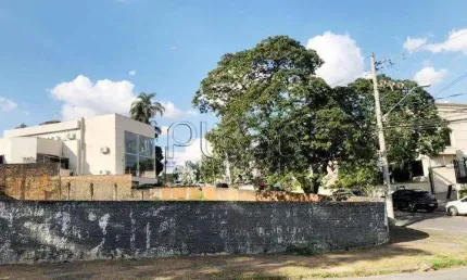 Terreno à venda e para alugar em campinas, nova campinas, com 925 m²
