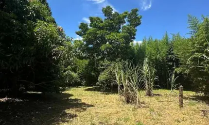 Terreno em condomínio fechado à venda na Alameda Serpa, 1, Itaici, Indaiatuba
