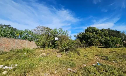 Terreno de 1.000m² na Avenida Aldo Borges Leão - Oportunidade Única para Comércio!