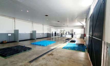 Vende-se barracões na marginal da BR-369, 3.000 m²  1 barracão nos fundos.