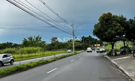 Terreno 715m  na Av Maurício Galli à venda, ARARAQUARA - SP