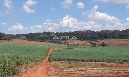 Fazenda à venda  Excelente oportunidade  Estado de São Paulo