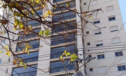 Apartamento à Venda | 149m² | 3 Suítes | Alto da Lapa