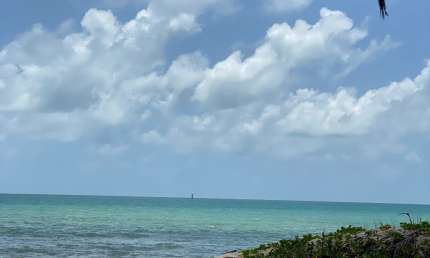 Lote exclusivo à beira-mar na Praia de Maracajaú – 5.000m²  alto padrão!