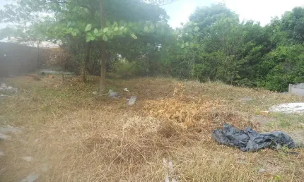 Terreno à venda na Rua Bicuíba, 134, Patamares, Salvador