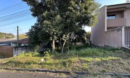 Terreno Lote para Venda em Vila Solene Campo Largo-PR