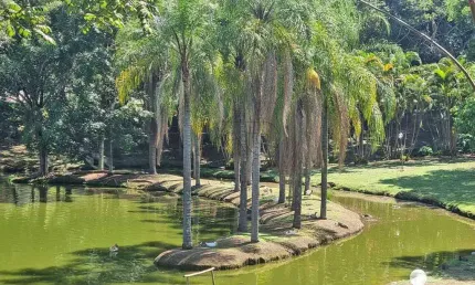 Casa em Condomínio à venda, 3 quartos, 1 suíte, 2 vagas, Colinas do Piracicaba (Ártemis) - PIRACICABA/SP