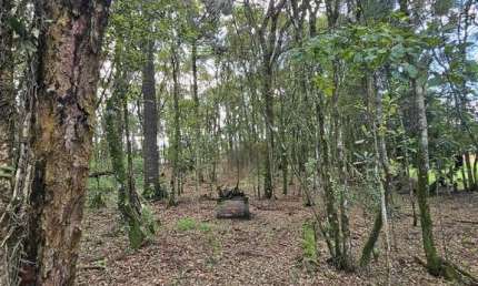 Terreno à venda no Centro, Balsa Nova 