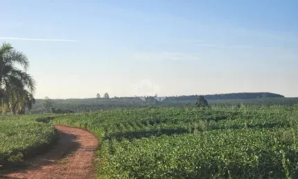 Fazenda à venda na Rodovia BR 290, 5600, Parque Guaíba, Eldorado do Sul