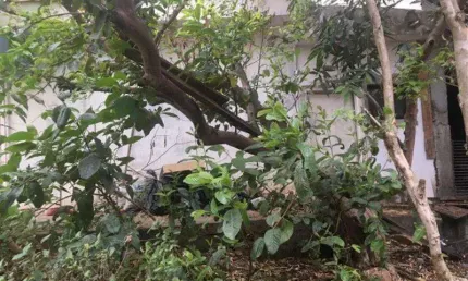 Terreno à venda na Rua Bernardino da Costa, Jardim Novo Carrão, São Paulo