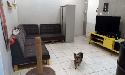 Apartamento com 2 quartos à venda na Rua Barretos, Alto da Mooca, São Paulo