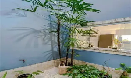 Casa com 3 quartos à venda na Rua Teodoro Mascarenhas, Vila Matilde, São Paulo