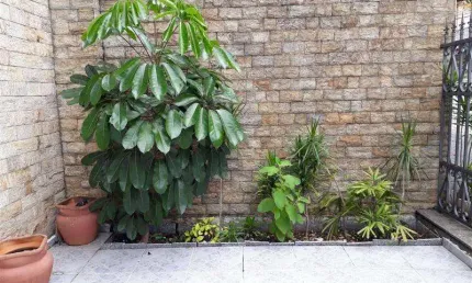 Casa com 4 quartos à venda na Rua Francisco Zicardi, Jardim Anália Franco, São Paulo