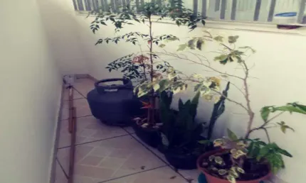 Casa com 2 quartos à venda na Rua Nhengaibas, Vila Graciosa, São Paulo