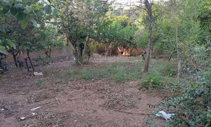 Lote/Terreno 432m2, Milionários/Barreiro - Belo Horizonte – MG