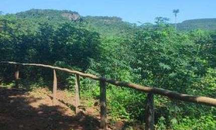 Chácara / sítio com 1 quarto à venda na Rua Félix Barreto De Novaes, SN, Piraputanga, Aquidauana