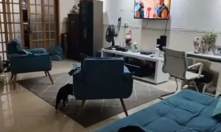 Casa com 3 quartos à venda na Rua Comendador Alfaia, 01, Mooca, São Paulo