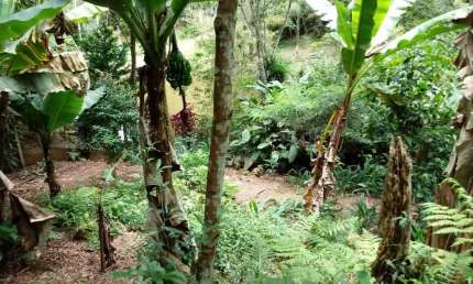 Terreno, Suzano, BAIXO CUSTO - R$ 180 mil, Cod: 6312