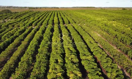 Fazenda à venda no Centro, Santa Luzia 
