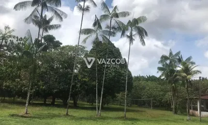 Chácara / sítio com 5 quartos à venda na Rua Simone Santos, 151, Centro, Benevides