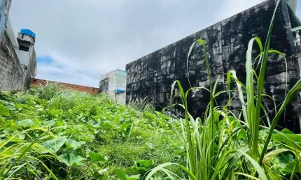 Terreno à venda na Rua Daniel Gran, Jardim Modelo, São Paulo