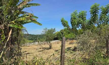 Terreno Amplo de 1.532m² à Venda no Chácara Ingrid, Taubaté- SP