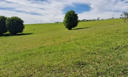 Terreno em cunha - sp 20.000m² com documentação e localização privilegiada!