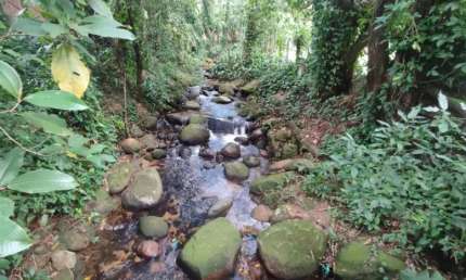 Terreno com Cachoeira nos Fundos à Venda em Guapimirim