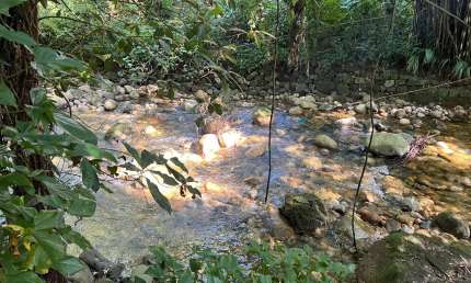 Sítio com cachoeira nos Fundos no Centro de Guapimirim