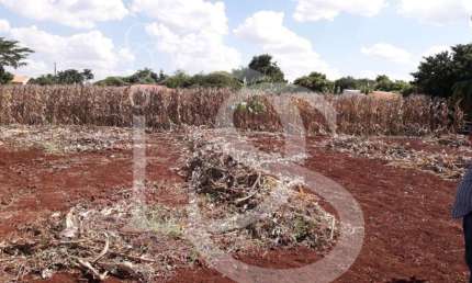 Terreno à venda na Estancia Favoreto, 1, Centro, Sertanópolis