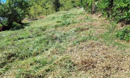 Loteamento à venda em Núcleo Residencial Porto Seguro - SP