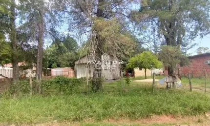 Terreno à venda na Avenida Primeira, 677, Diácono João Luiz Pozzobon, Santa Maria