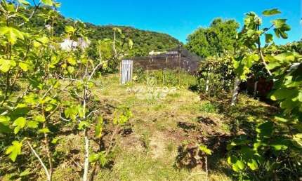 Terreno, 13x28m², Nossa Senhora Do Perpétuo Socorro
