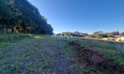 Terreno à venda na Estrada Pau A Pique, 1, Passo das Tropas, Santa Maria