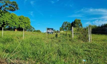 Terreno amplo para construção de pavilhões - Beira de estrada