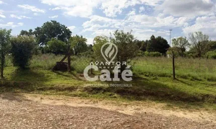 Terreno à venda Diácono João Luiz Pozzobon Santa Maria/RS