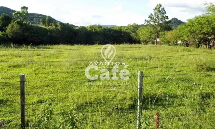 Terreno à venda Diácono João Luiz Pozzobon Santa Maria/RS